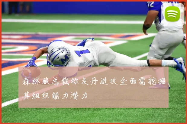 森林狼总裁称麦丹进攻全面需挖掘其组织能力潜力